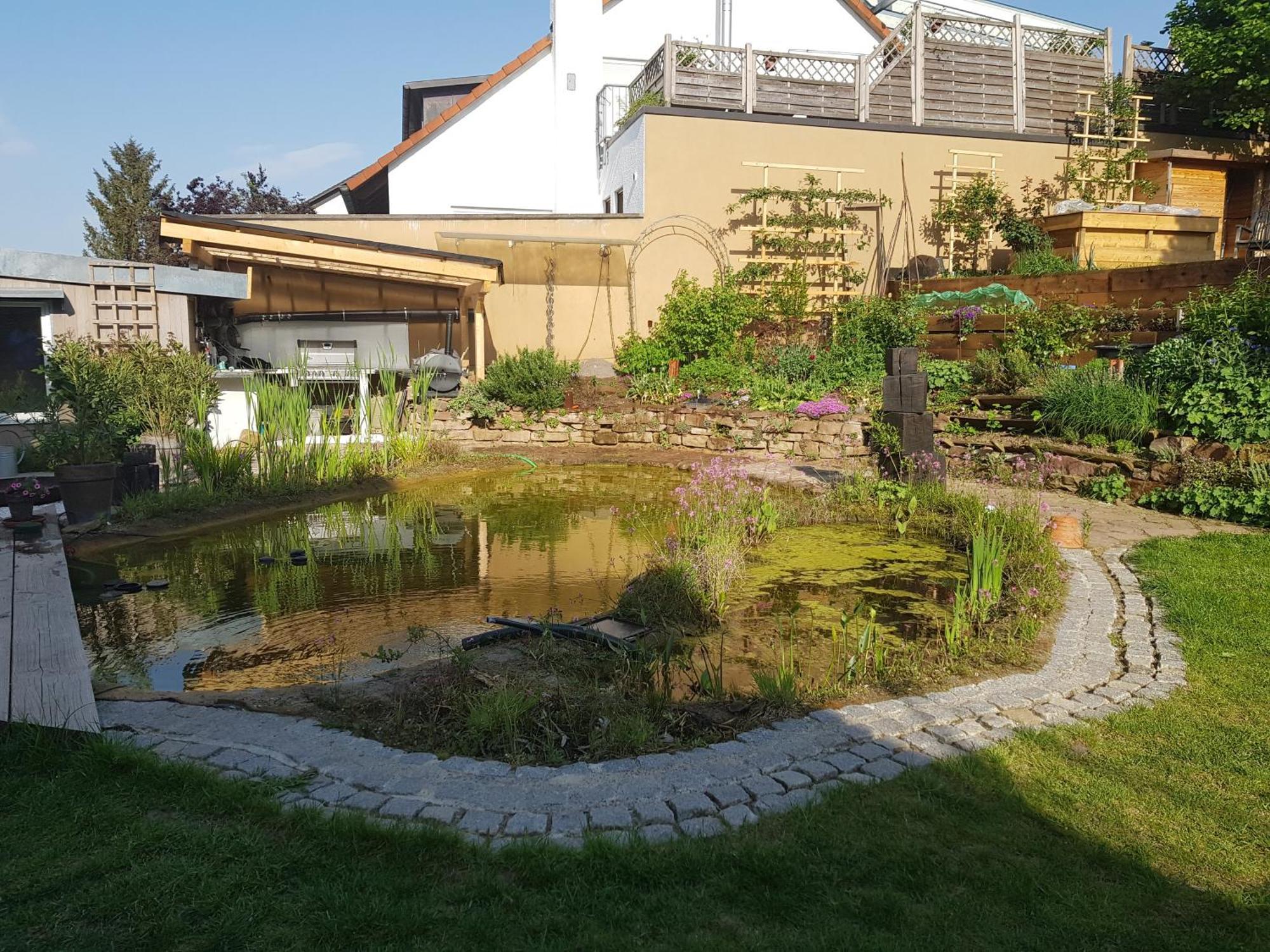 Wohnung Mit Sauna, Garten & Schwimmteich Битигхайм-Биссинген Экстерьер фото